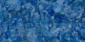 Plastic water bottles in landfills